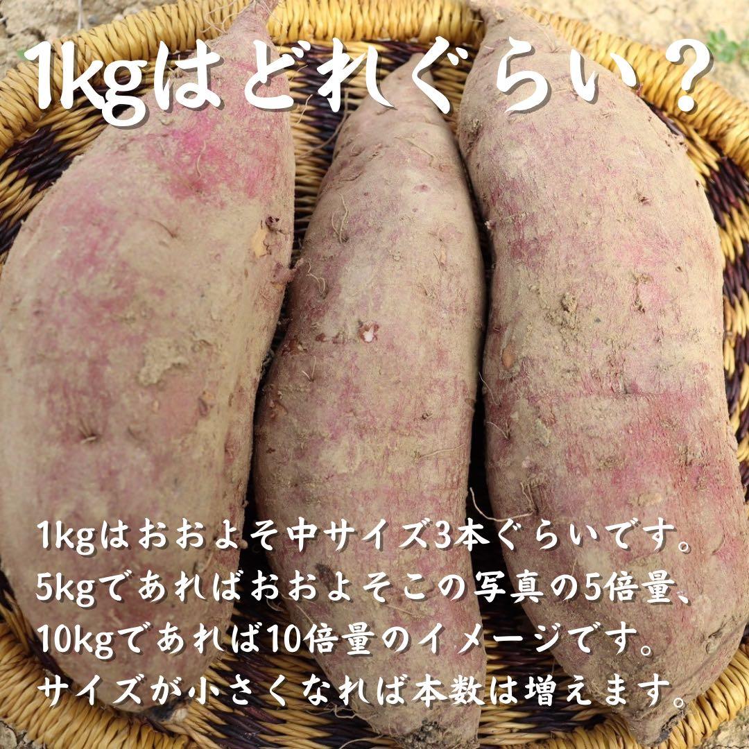 さつまいも『紅はるか』15kg ★無肥料・無農薬★