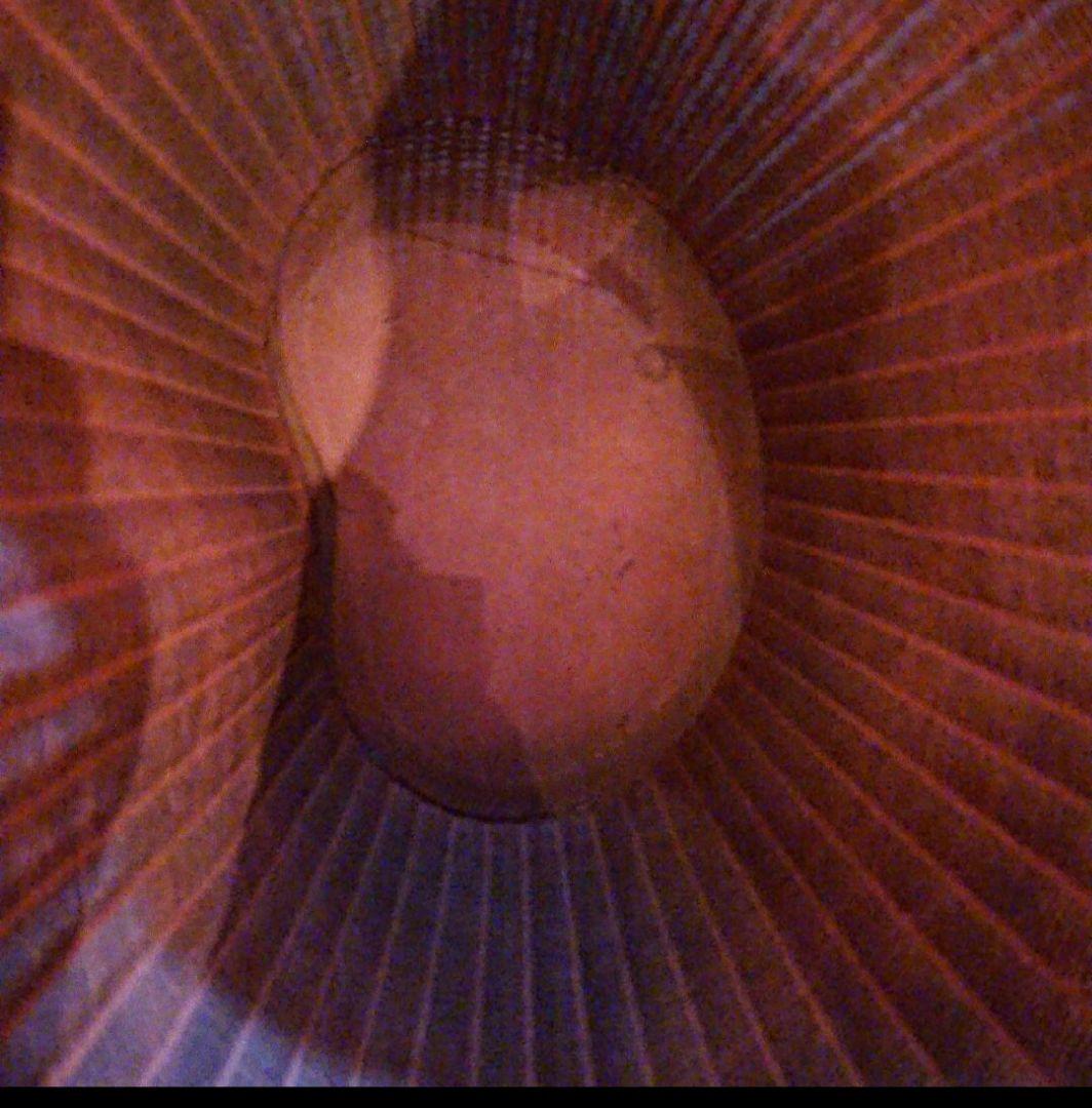 英国 アンティーク ピンク 猫脚 サイドテーブル 収納 古道具