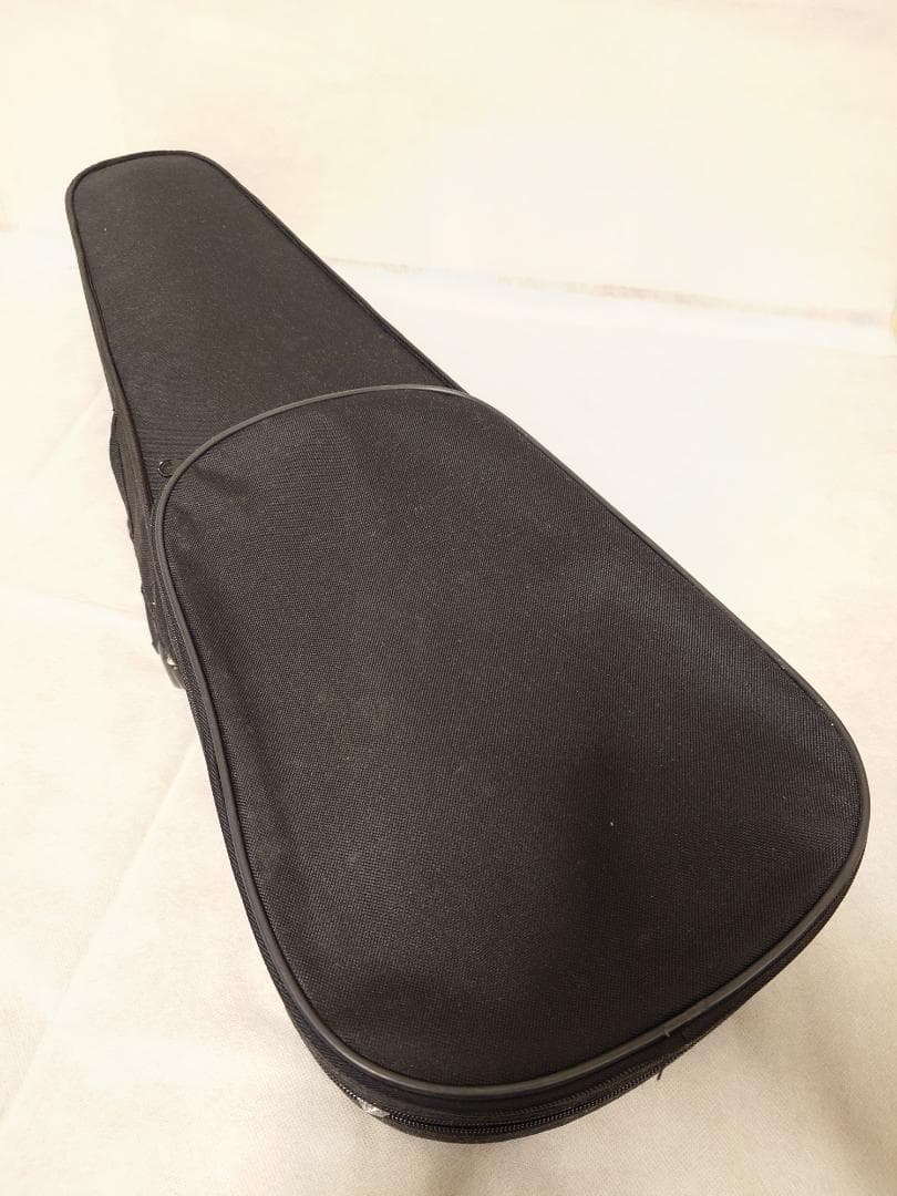 【送料無料】バイオリンセット 4/4 大人用 Allan Drexcell