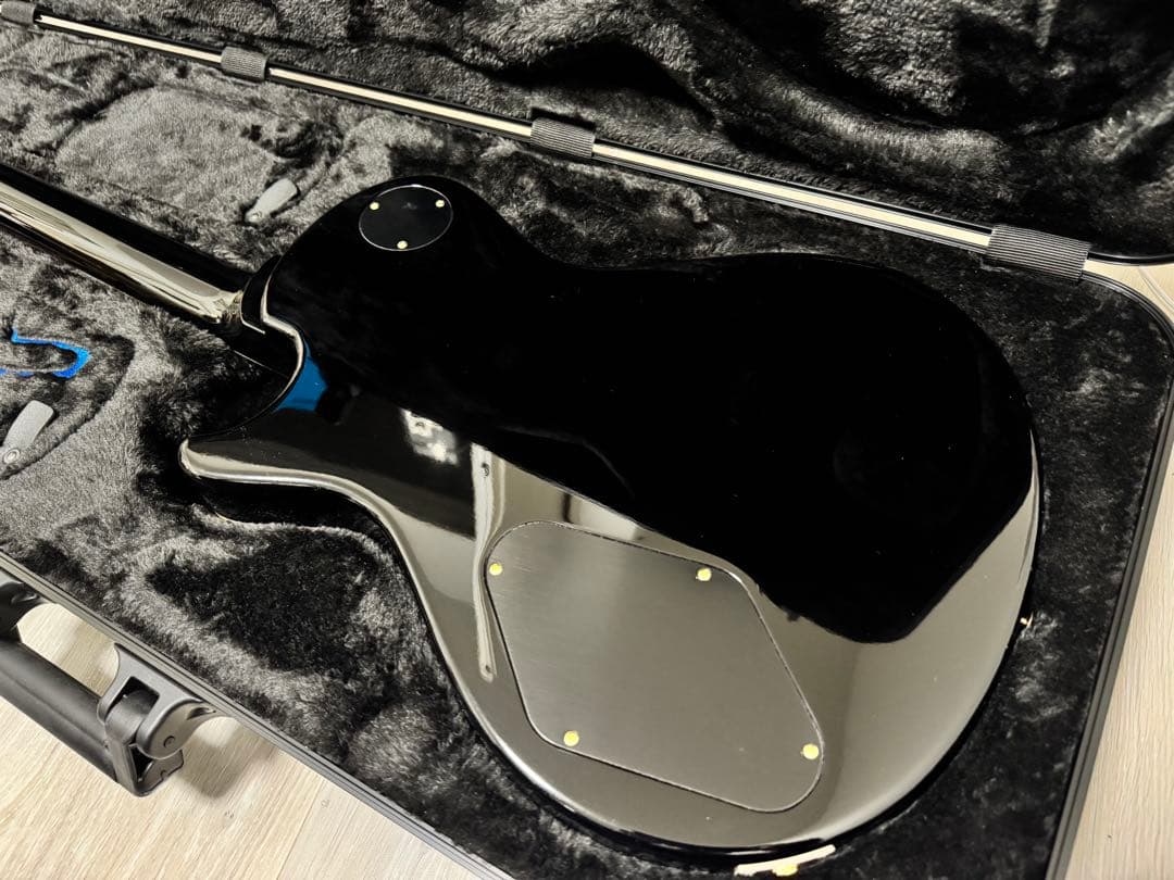 ギター Paul Reed Smith Mark Tremonti Signature