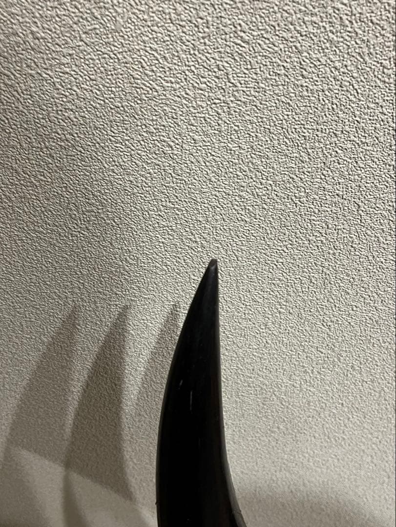 【送料込み】水牛の角　縁起物　骨董品　彫刻品　インテリア　アンティーク　芸術品