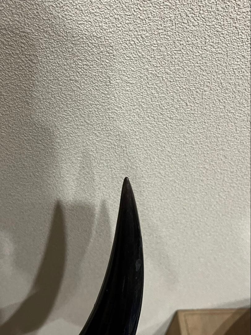 【送料込み】水牛の角　縁起物　骨董品　彫刻品　インテリア　アンティーク　芸術品