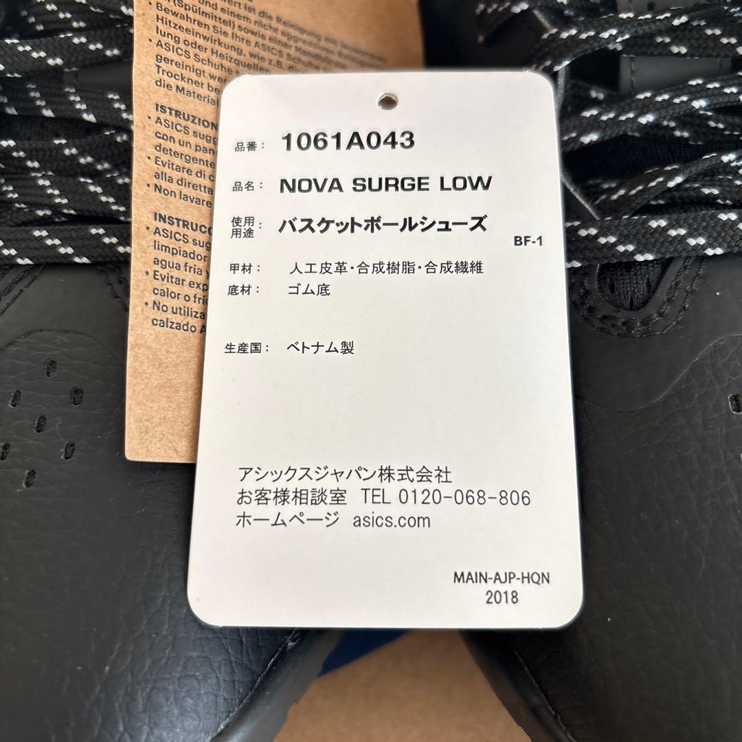 25cm　アシックス　バスケットシューズ 　ノヴァ サージロー 1061A043