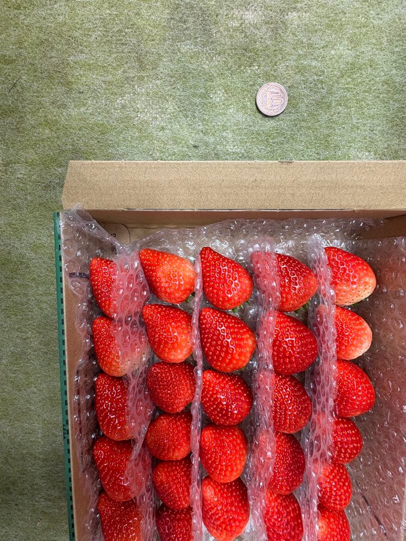 栃木県産とちあいか　初物苺×3 苺の実はるいちご園　【20個限定】 チップ