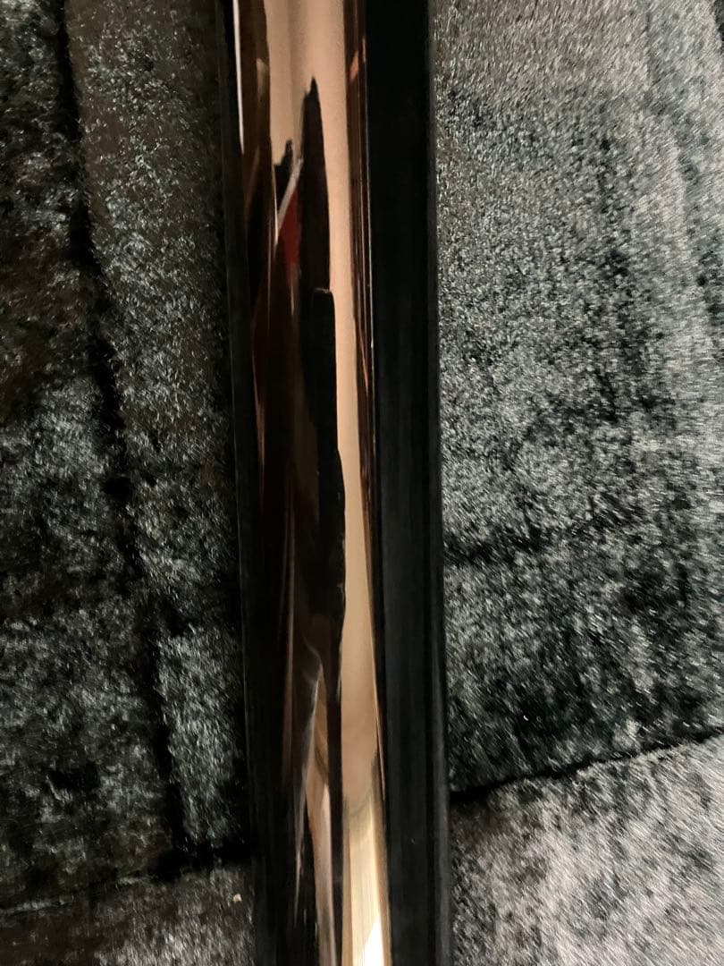 ESP U-01 [HELLION] 麗モデル the GazettE