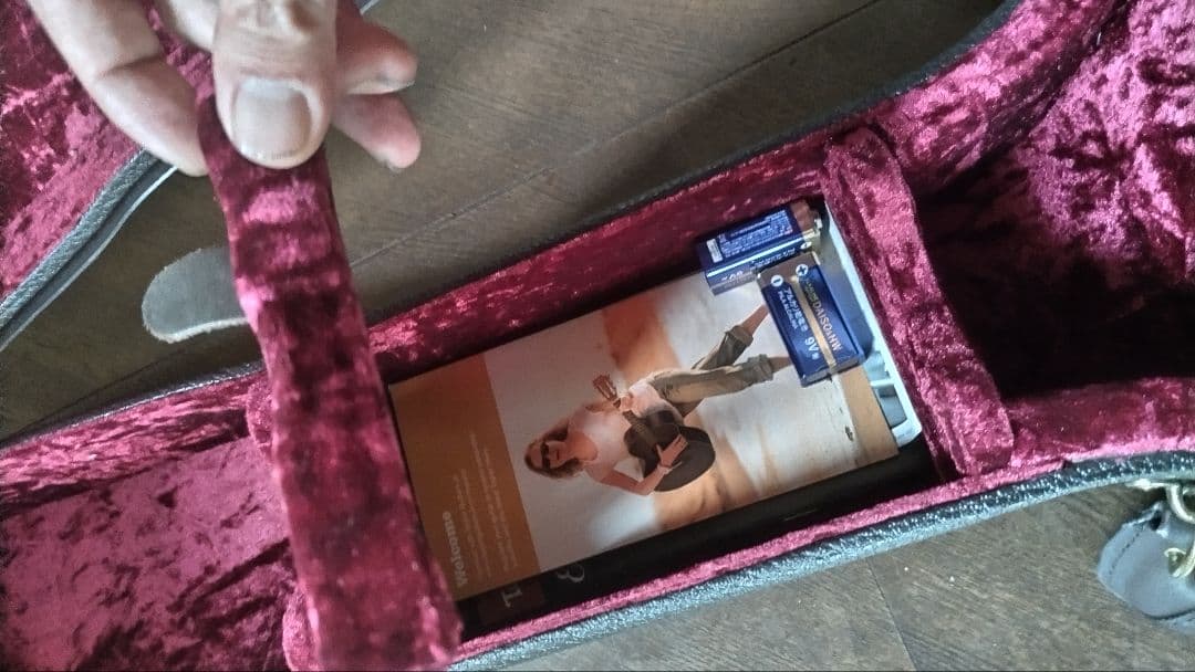 【MIYAVI世界デビュー時のT5改良品】Taylor T5z　ハードケース付