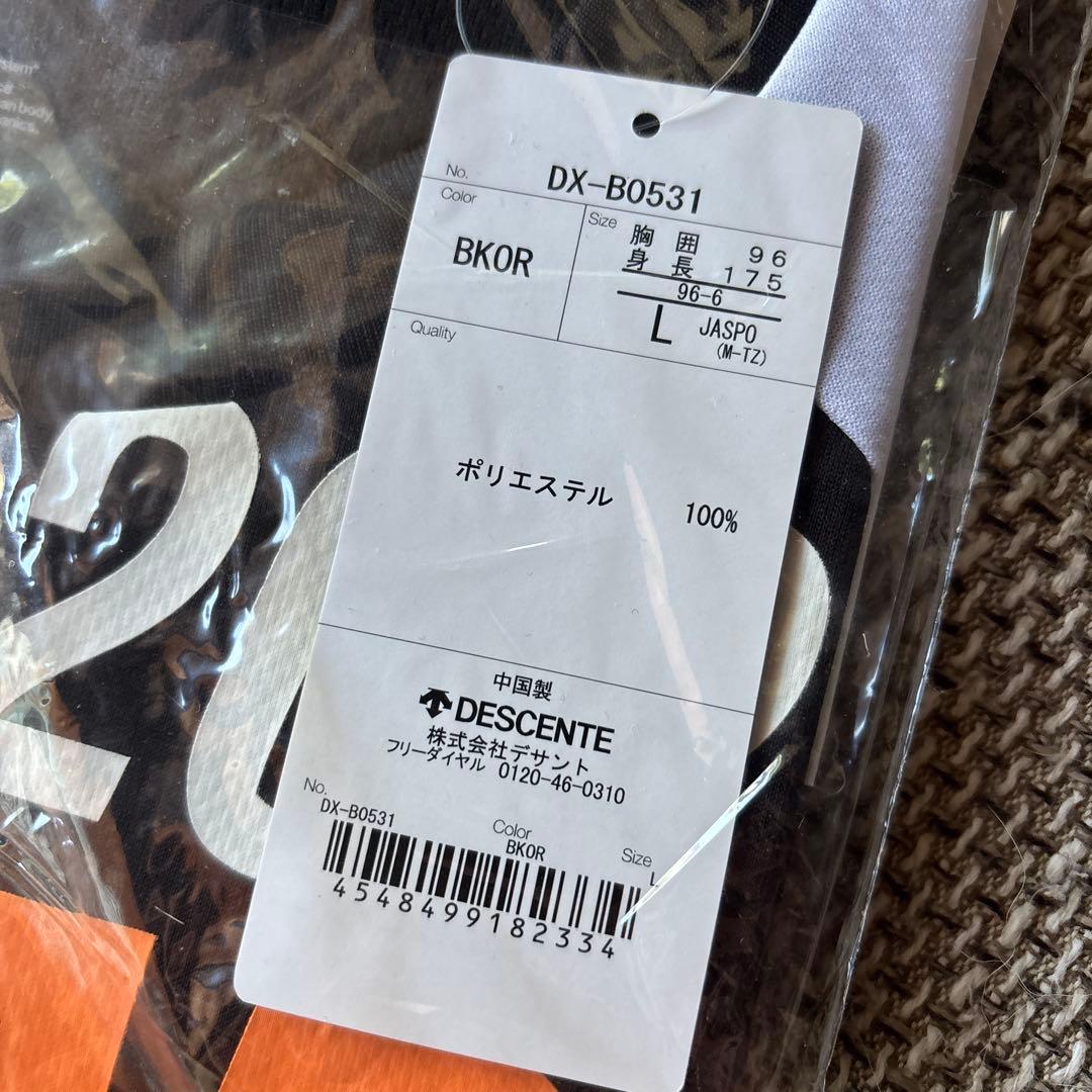 DESCENTE インターハイ Lサイズ Tシャツ 国体オールジャパン
