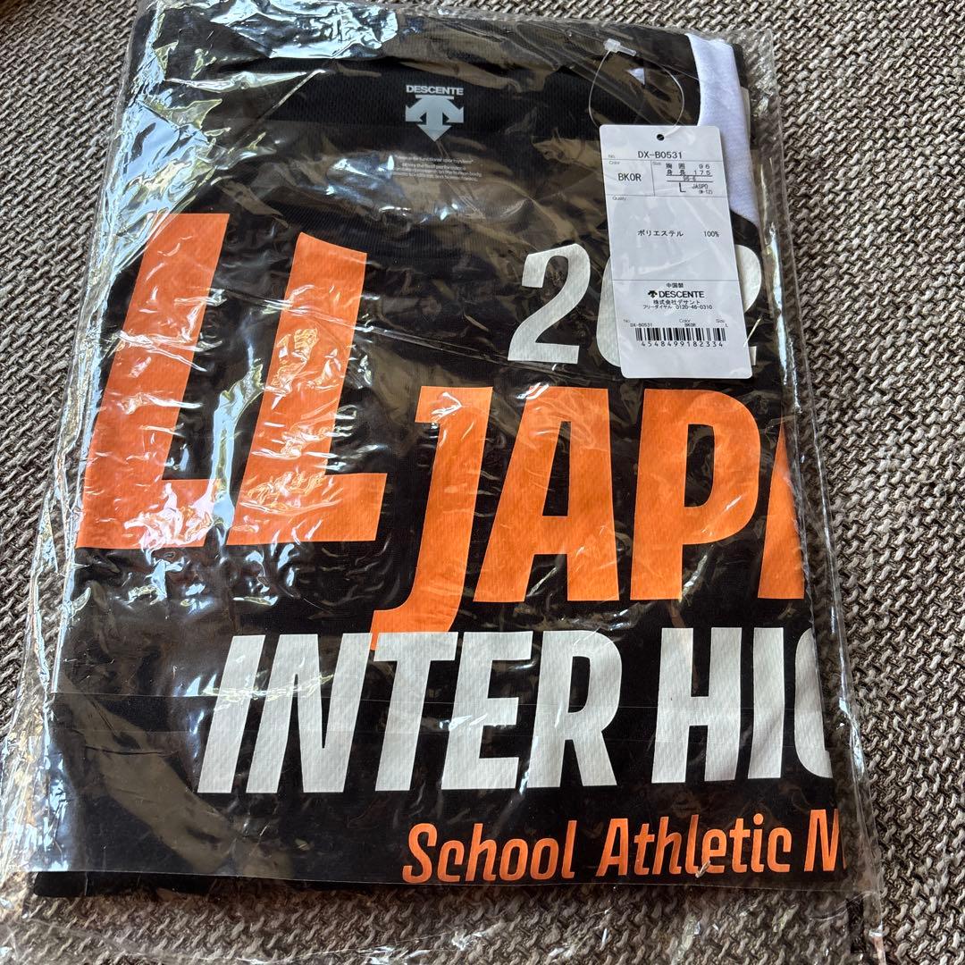 DESCENTE インターハイ Lサイズ Tシャツ 国体オールジャパン