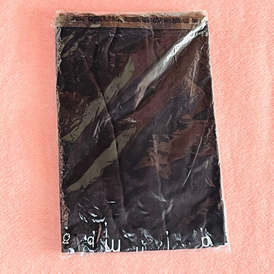 【新品・未開封】back number インディーズ Tシャツ