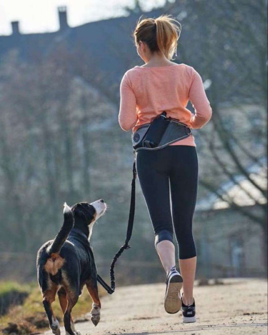 Hunter 犬用ジョギングポーチ＆リード　中型犬、大型犬