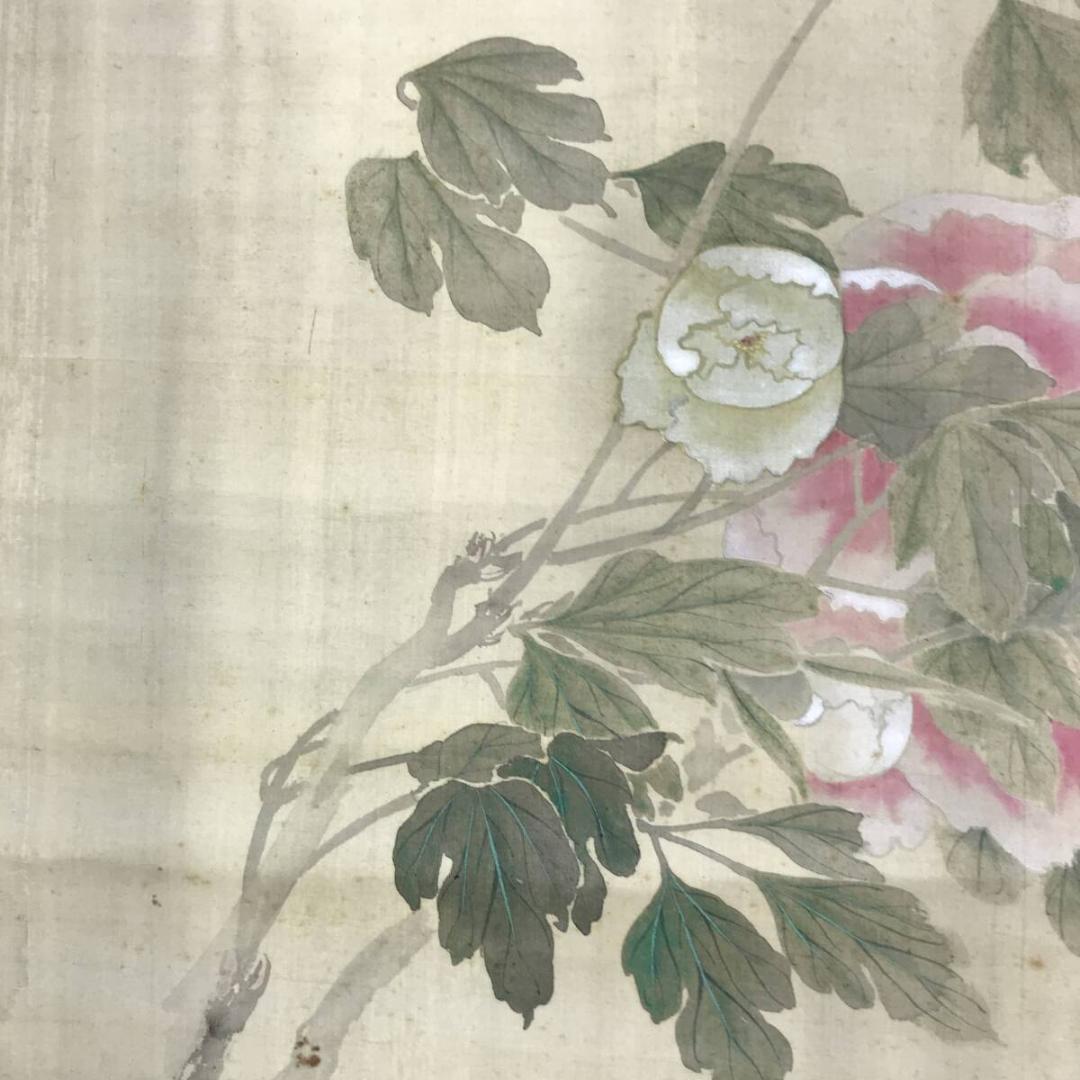 真作/竹淵/雨中牡丹之図/牡丹図/ボタン図/花図/掛軸☆宝船☆AH-608