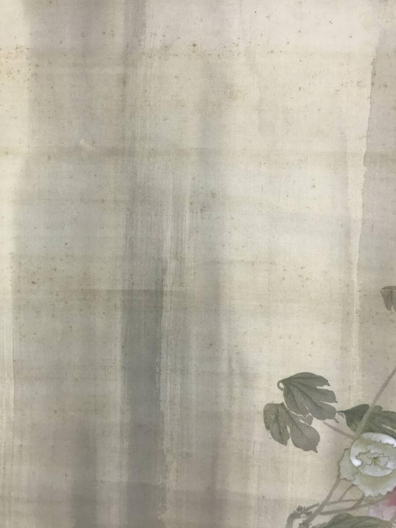 真作/竹淵/雨中牡丹之図/牡丹図/ボタン図/花図/掛軸☆宝船☆AH-608