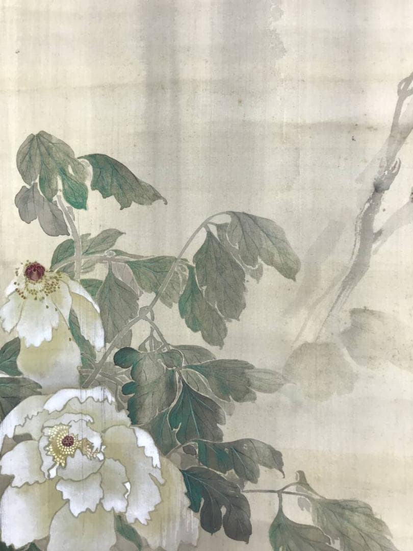 真作/竹淵/雨中牡丹之図/牡丹図/ボタン図/花図/掛軸☆宝船☆AH-608