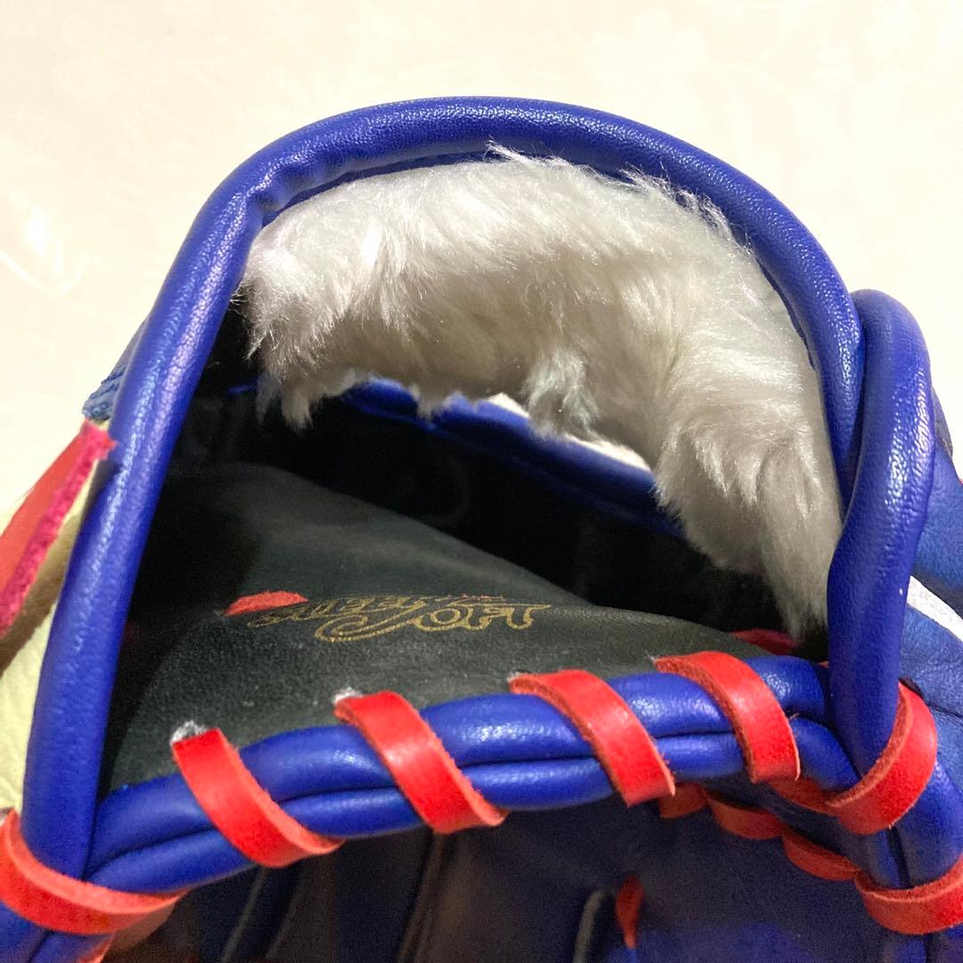 希少✨中日ドラゴンズ 名古屋ドーム５周年記念グローブ 左投げ用 野球 ブルー