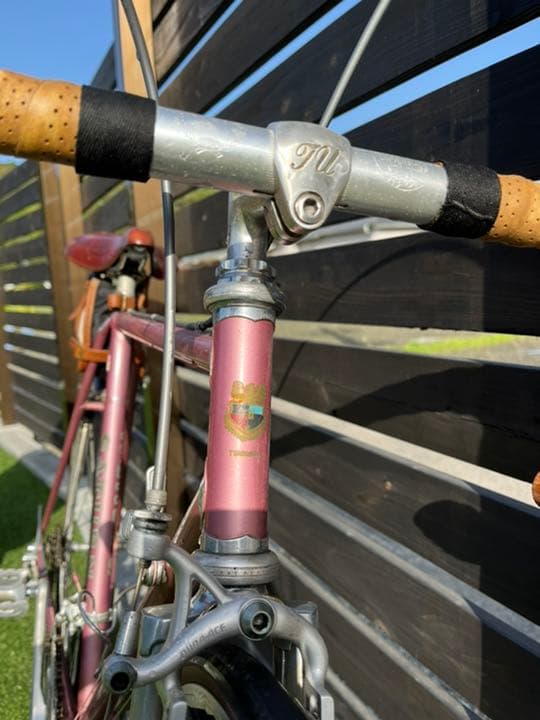 ツノダサターン