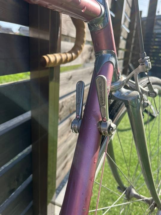 ツノダサターン