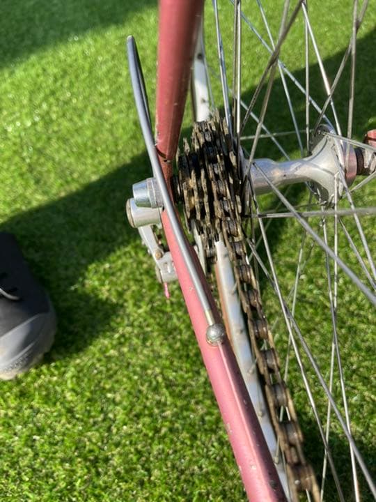 ツノダサターン