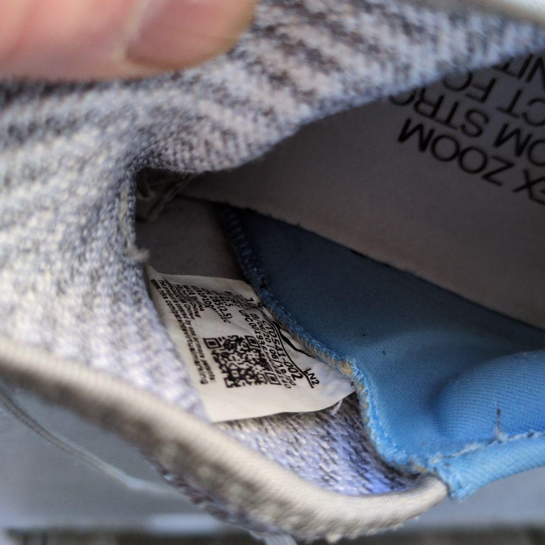 ナイキゴルフシューズ、メンズ