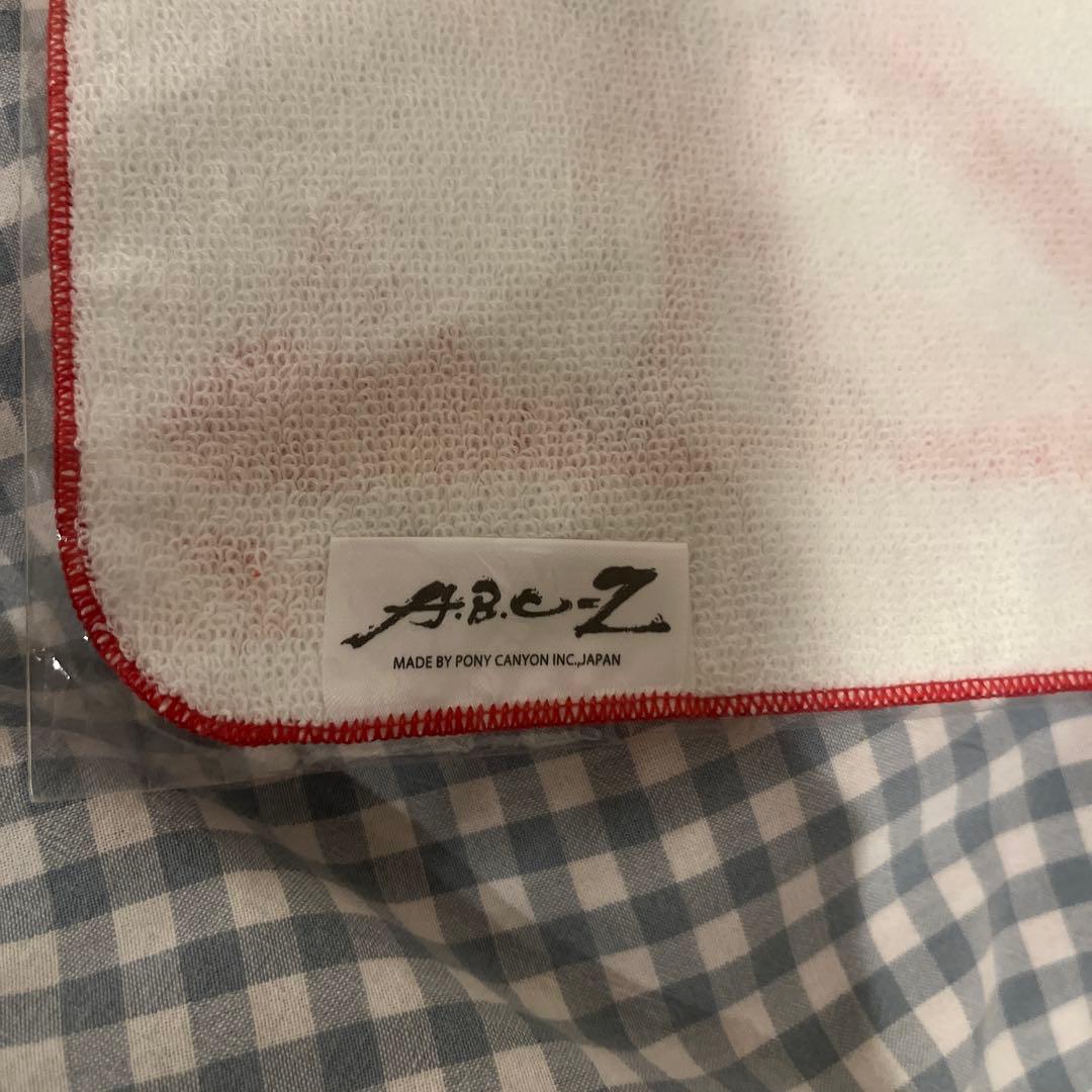 【美品】橋本良亮 はっしー ぬい ぬいぐるみ アクスタ Gocoichi シール