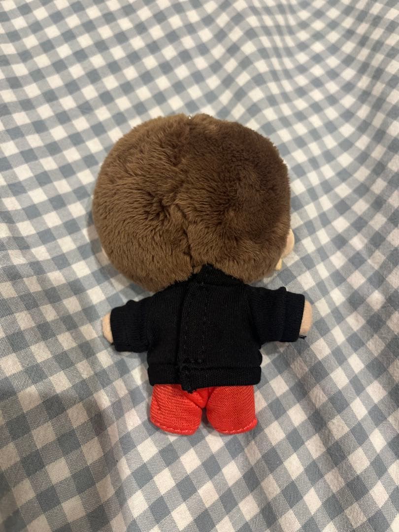 【美品】橋本良亮 はっしー ぬい ぬいぐるみ アクスタ Gocoichi シール