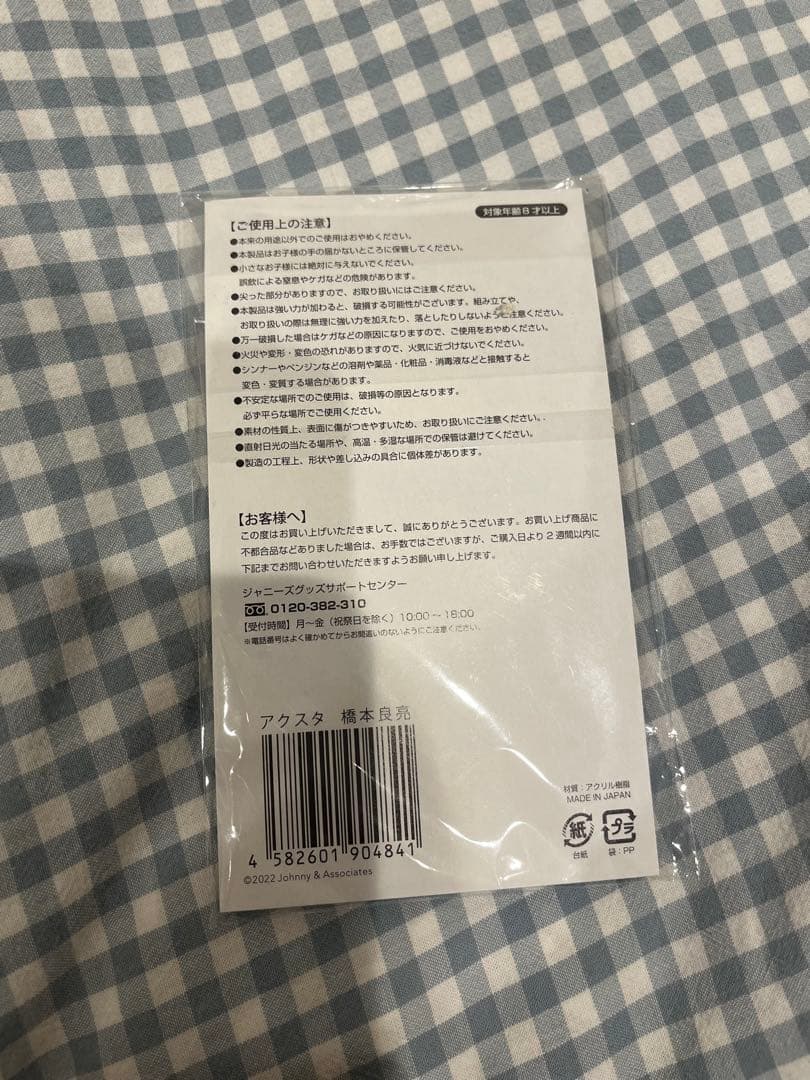 【美品】橋本良亮 はっしー ぬい ぬいぐるみ アクスタ Gocoichi シール