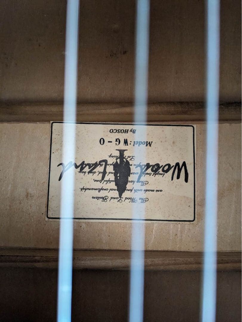 アコースティックギター WG-O