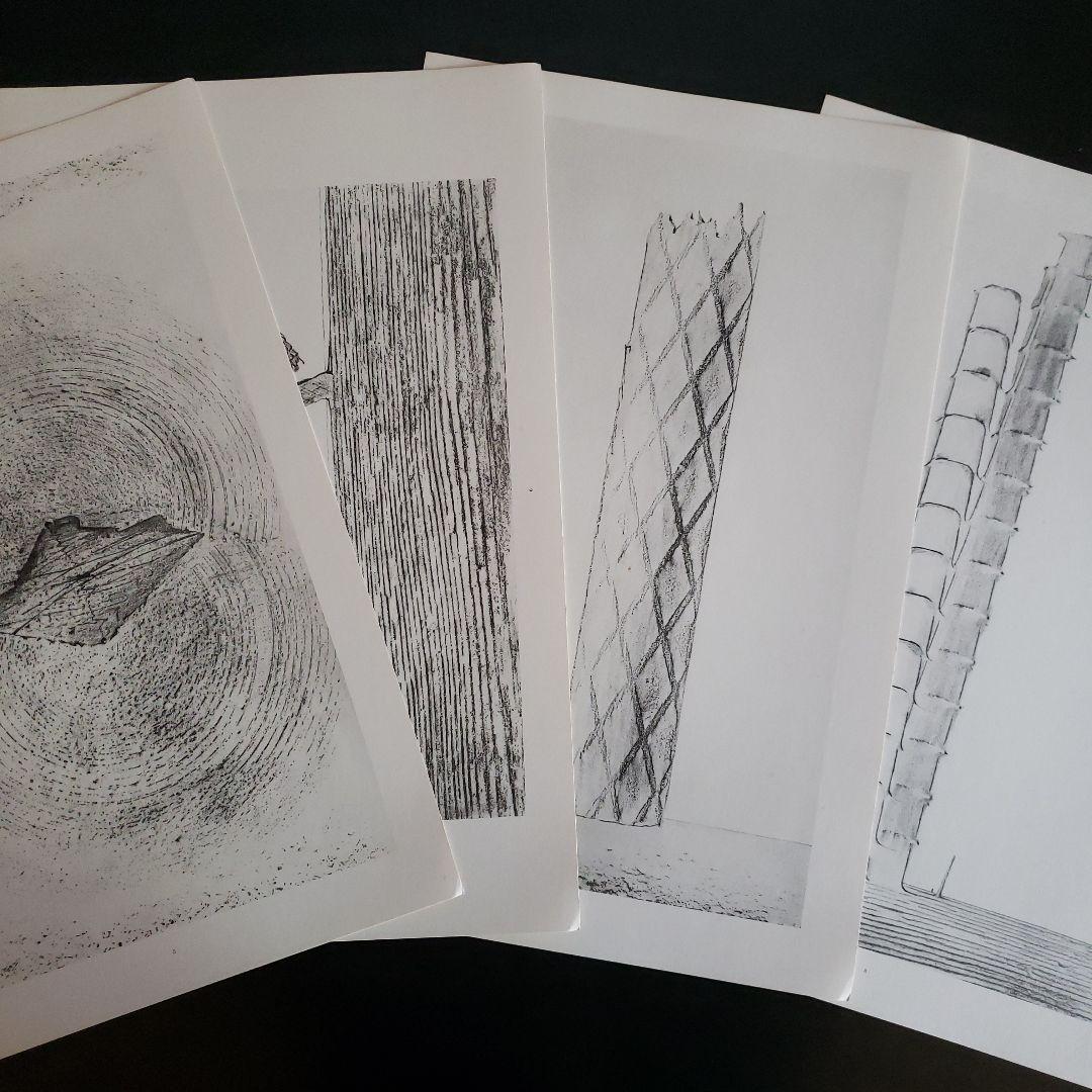 Max Ernst histoire naturelle　博物誌