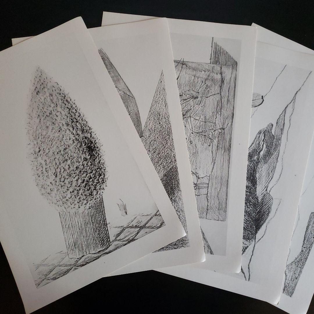 Max Ernst histoire naturelle　博物誌