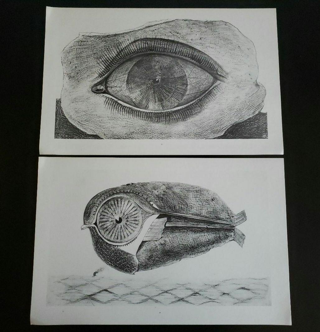 Max Ernst histoire naturelle　博物誌