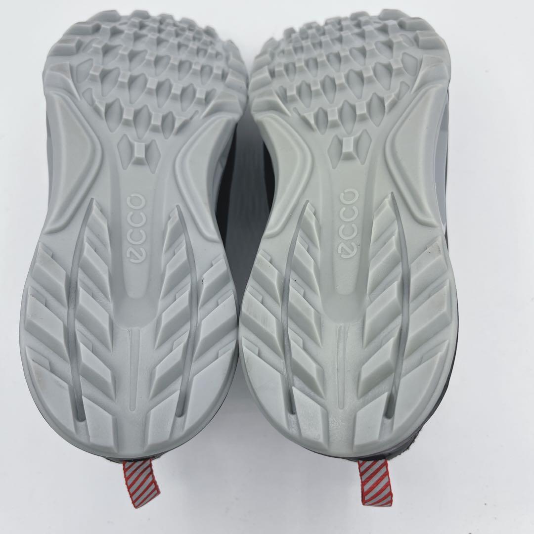 ECCO M GOLF BIOM C4 25.0 エコー　ゴルフシューズ