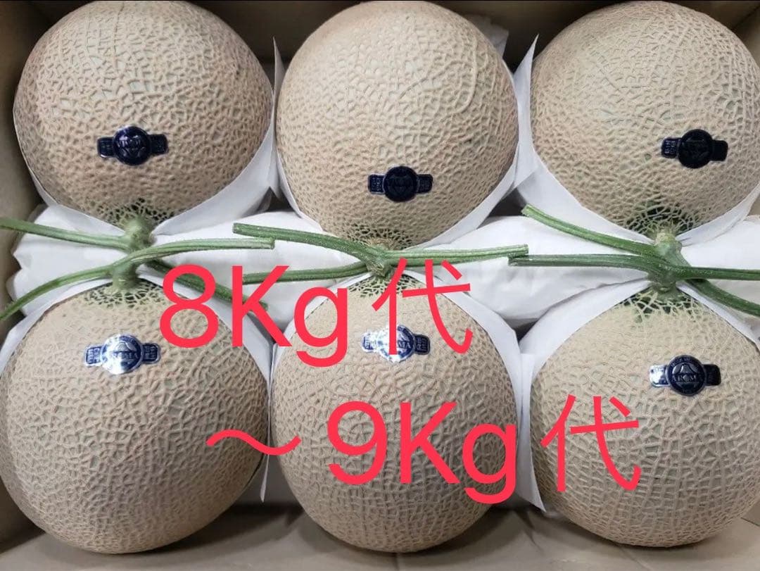 静岡　アールスメロン