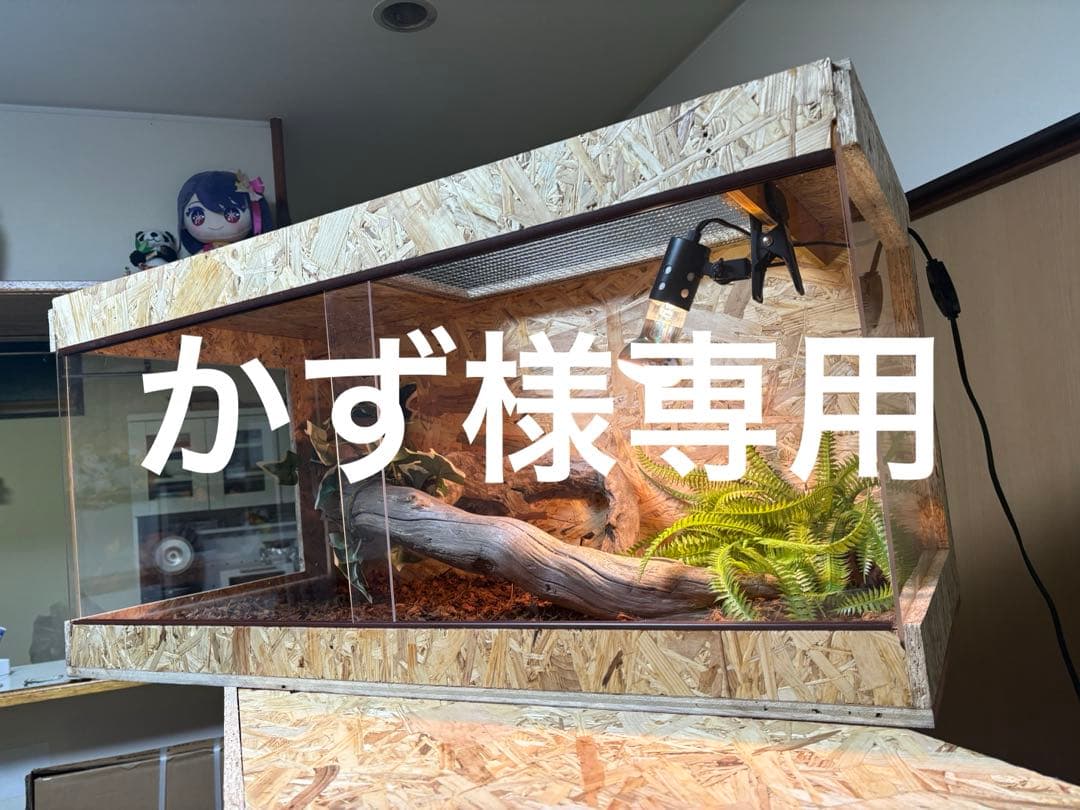 かず　1003045サイドアクリルケージオプションお写真2枚目掲載