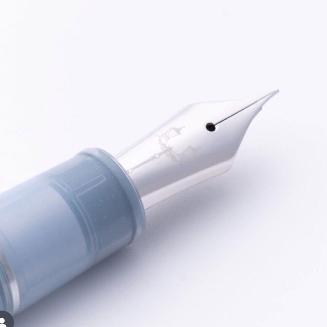 【24時間以内発送】銀山スノーグレー・万年筆 パルム　M