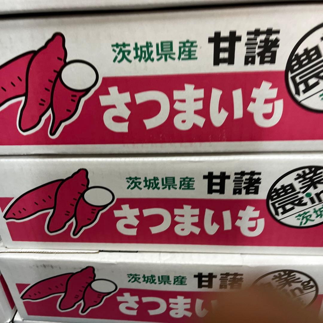 シルクスイート Mサイズ 20kg 茨城県産