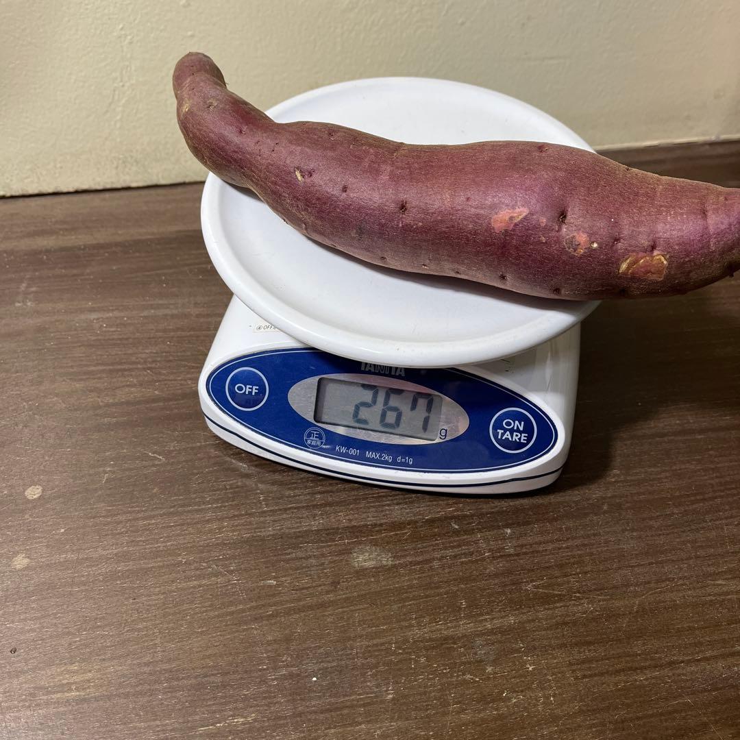 シルクスイート Mサイズ 20kg 茨城県産