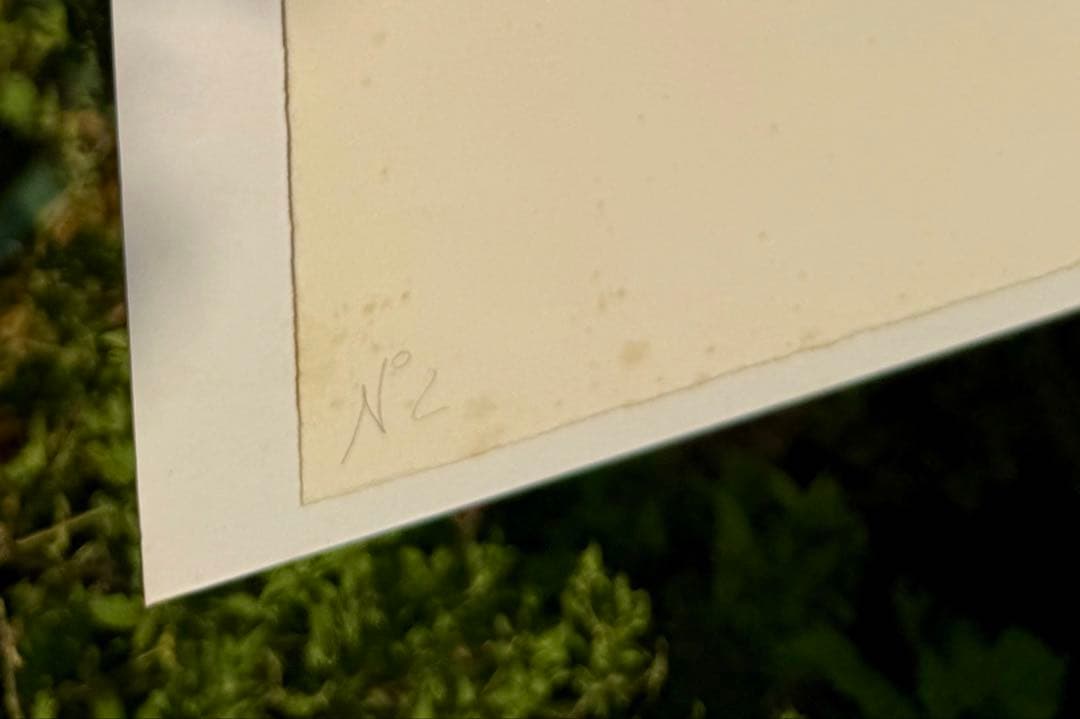 マルクシャガール 恋人たちの夢 リトグラフ 62cm x 80cm