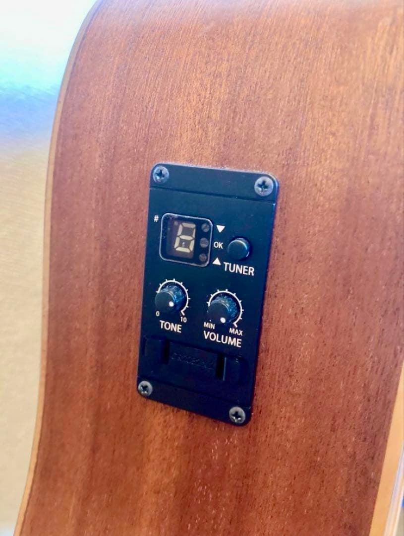 Taylor Academy 10e エレアコ アコースティックギター テイラー