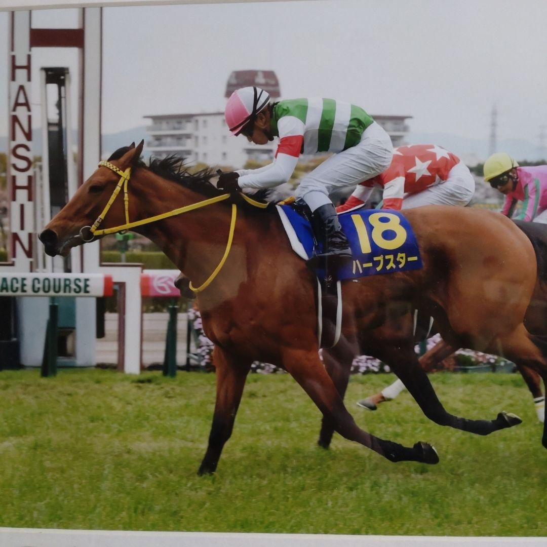 【廃盤・レア品】競馬 ハープスター 2014桜花賞