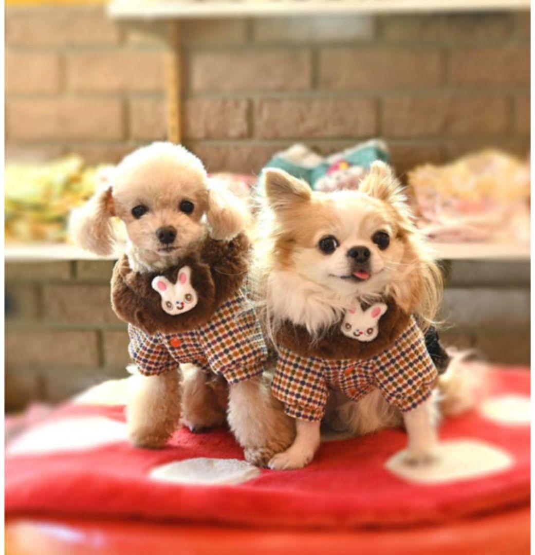 J＆Kanimals ホワイトシュガーちゃん　ツィードジャケット　３ＳーＬ