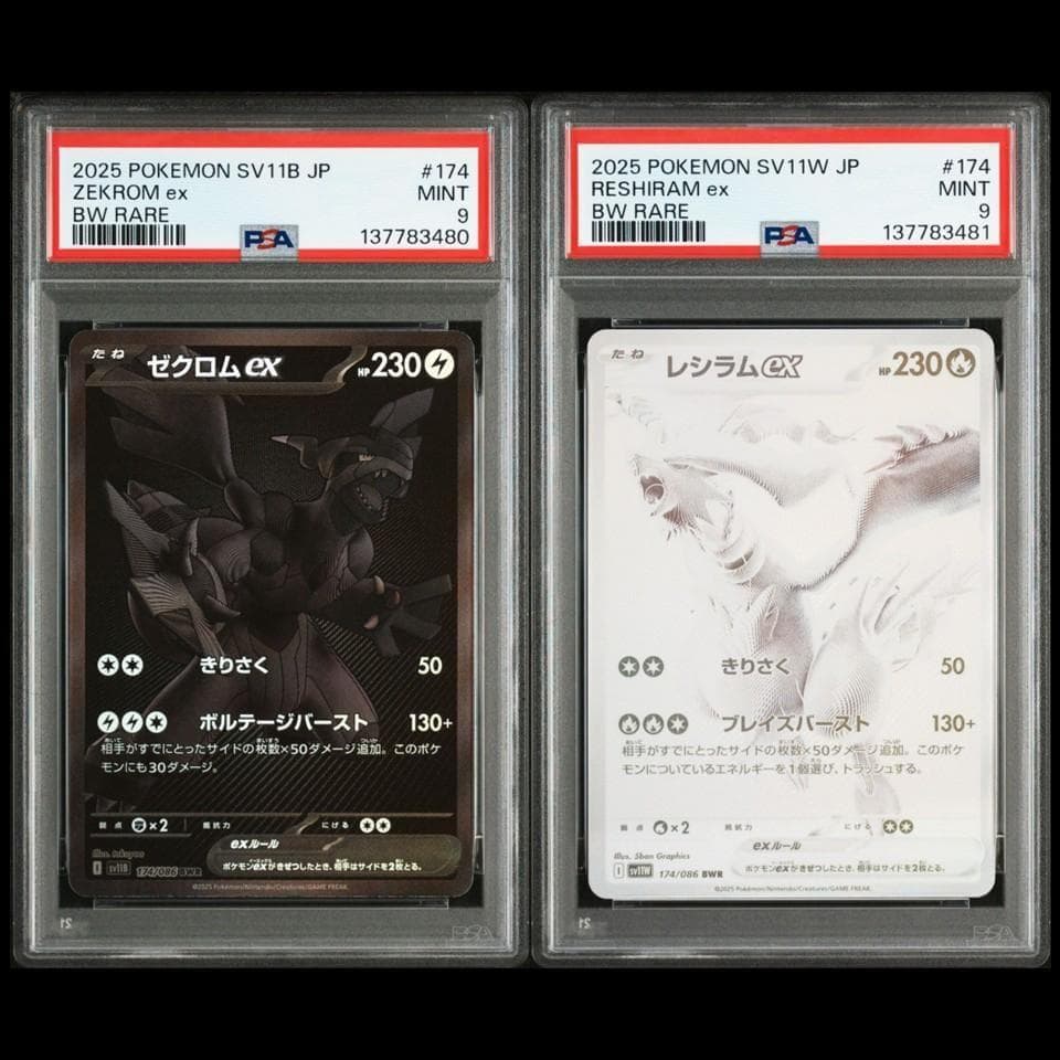 PSA9 連番 ゼクロムex レシラムex BWR 137783480_481