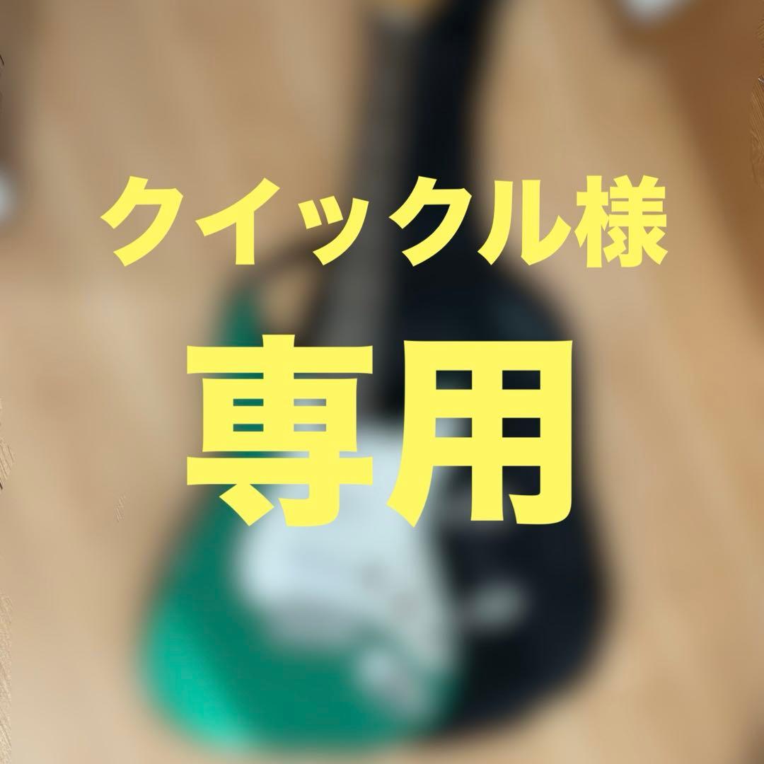 Bacchus BTS-1R グリーンのストラトタイプ ソフトギターケース付