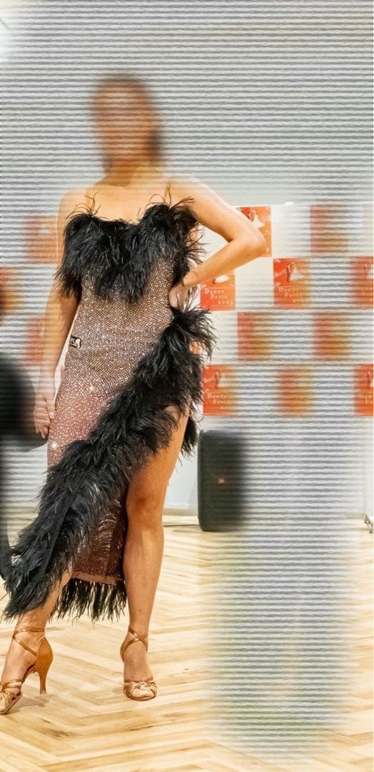 Vesa 社交ダンスドレス フェザー付き