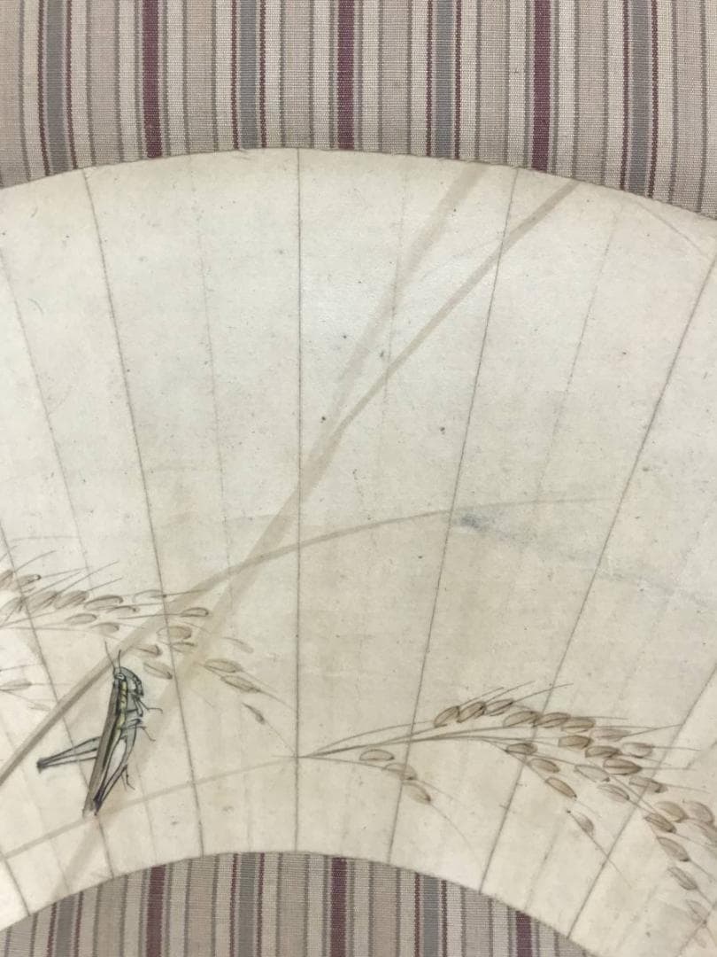 【真作】松村景文/扇面/稲穂バッタ図/秋図/花鳥図/掛軸/名家伝来/AD-284