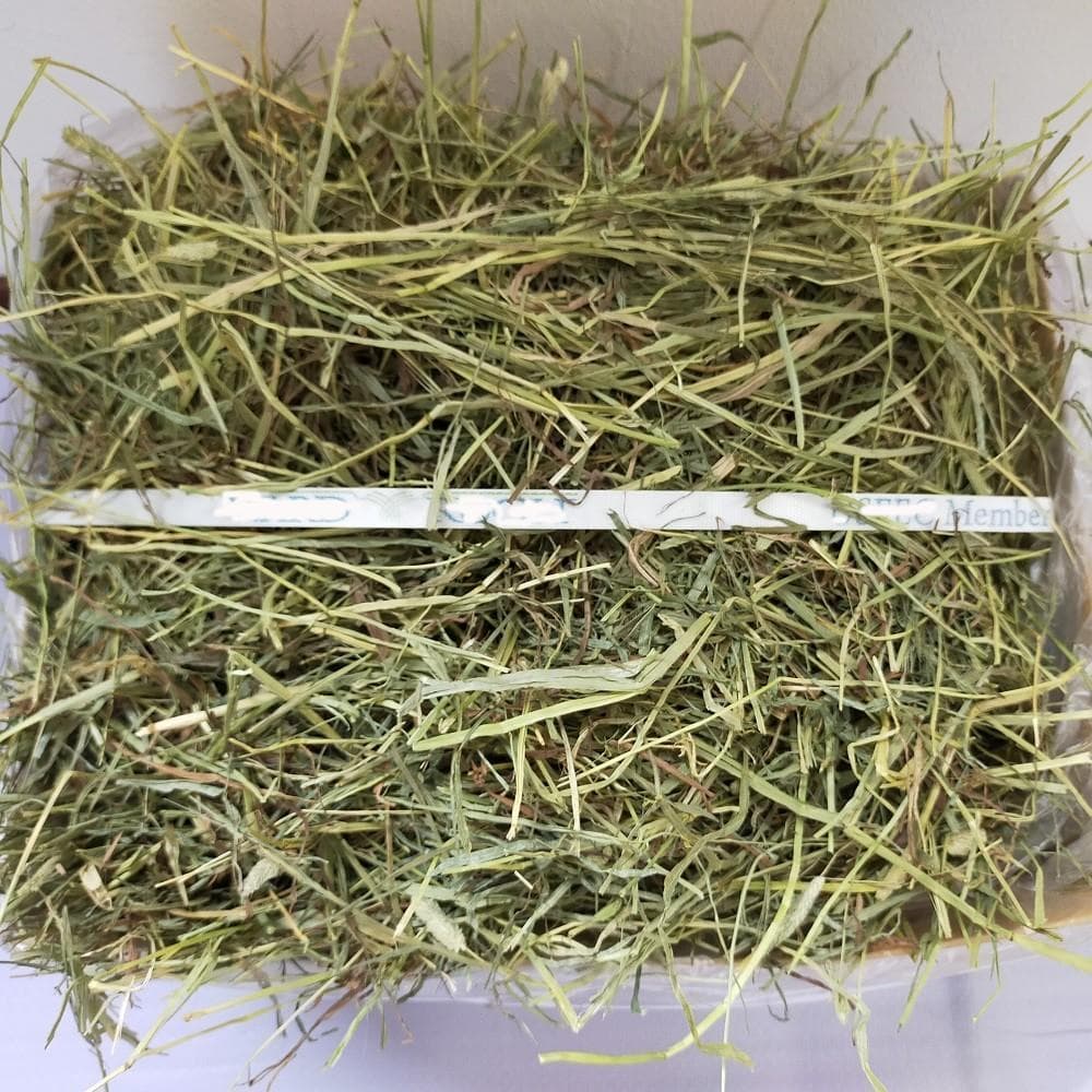 【家計応援価格】US産 チモシー 100kg ２番刈 ソフトSプレミアム