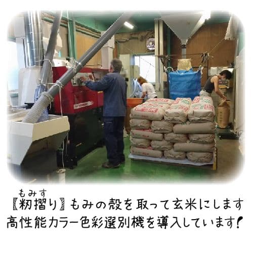 令和7年産 希少米 緑肥＆有機肥料 特別栽培米【朝日】20キロ