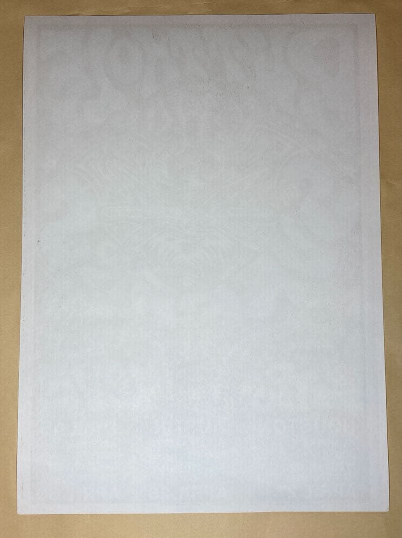 KOZIK BUTT HOLE SURFERS ポスター