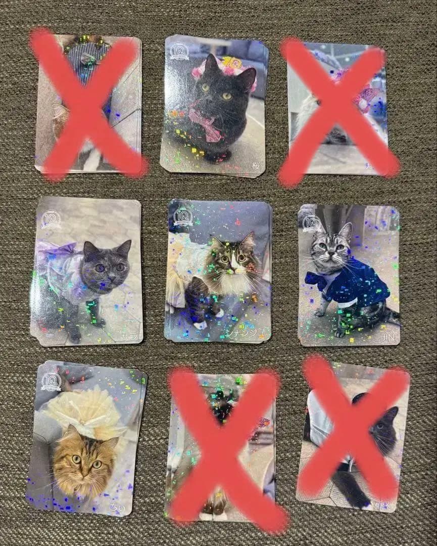 【バラ売り可】にゃんずトレカ町田ジョルナ店 2024