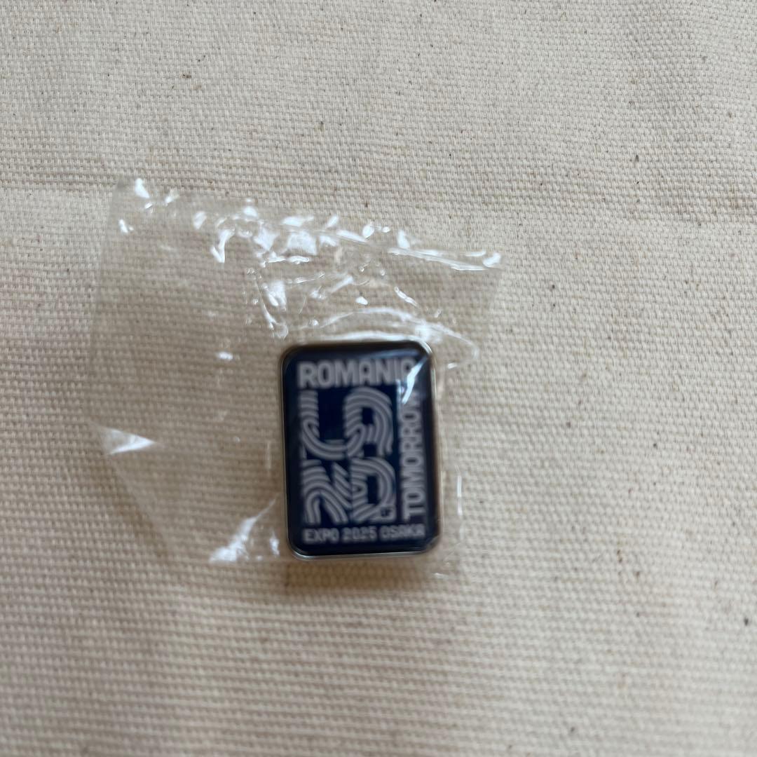 【非売品】ピンバッジ2個セット　ルーマニアパビリオン