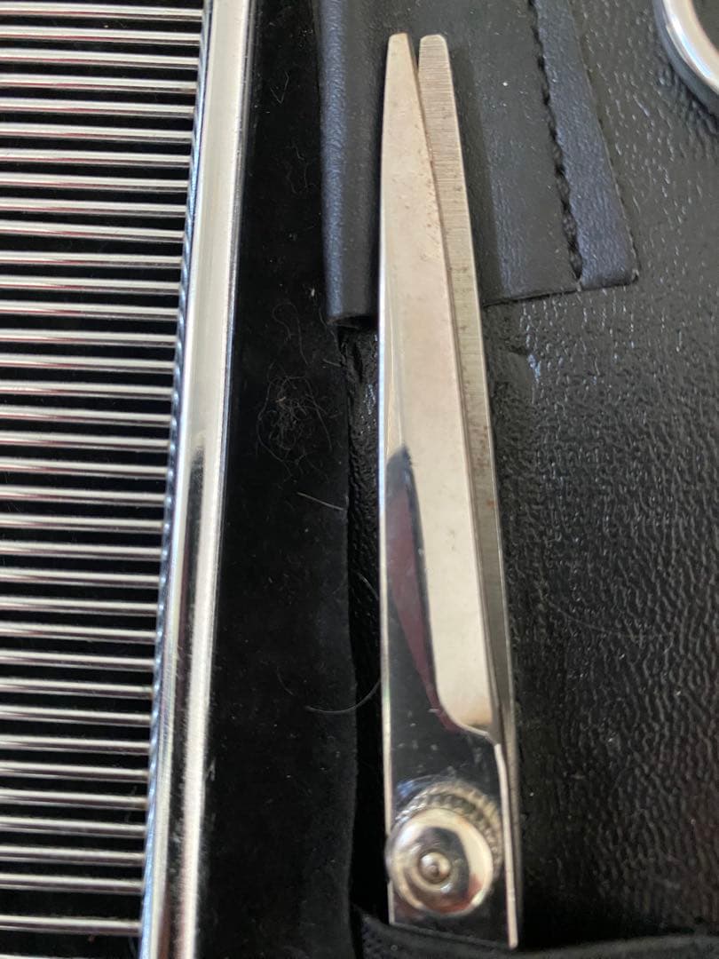 ペット用　トリミング用ハサミセット ステンレス