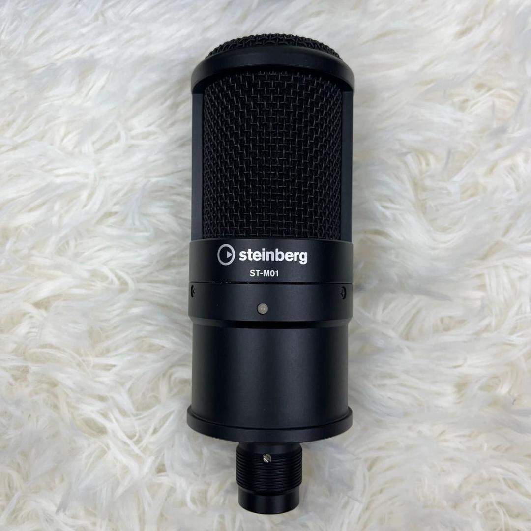 【ほぼ未使用】Steinberg UR22C Recording Pack